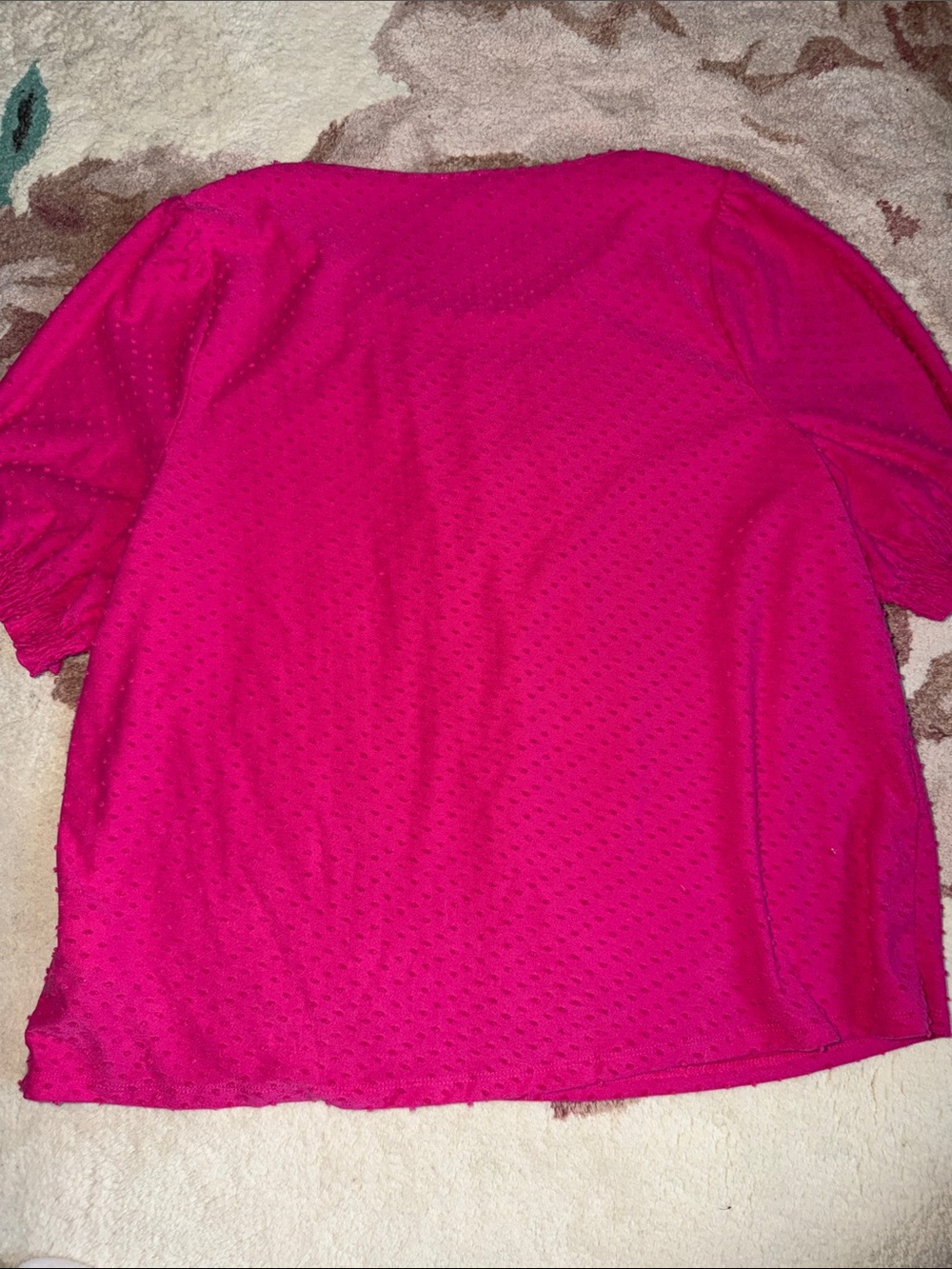 J. Crew Fuchsia Short Sleeve Swiss Dot Scoop Neck Top - Picture 6 of 6